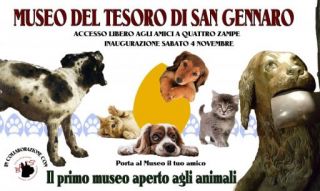 01 cuccioli al museo MG-20171101-WA0004
